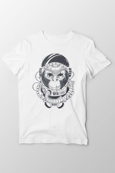 Articolo senza titolo